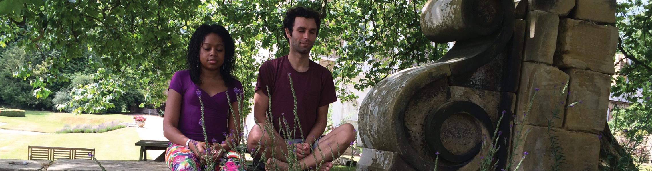 Meditators’ Meetings with a Teacher