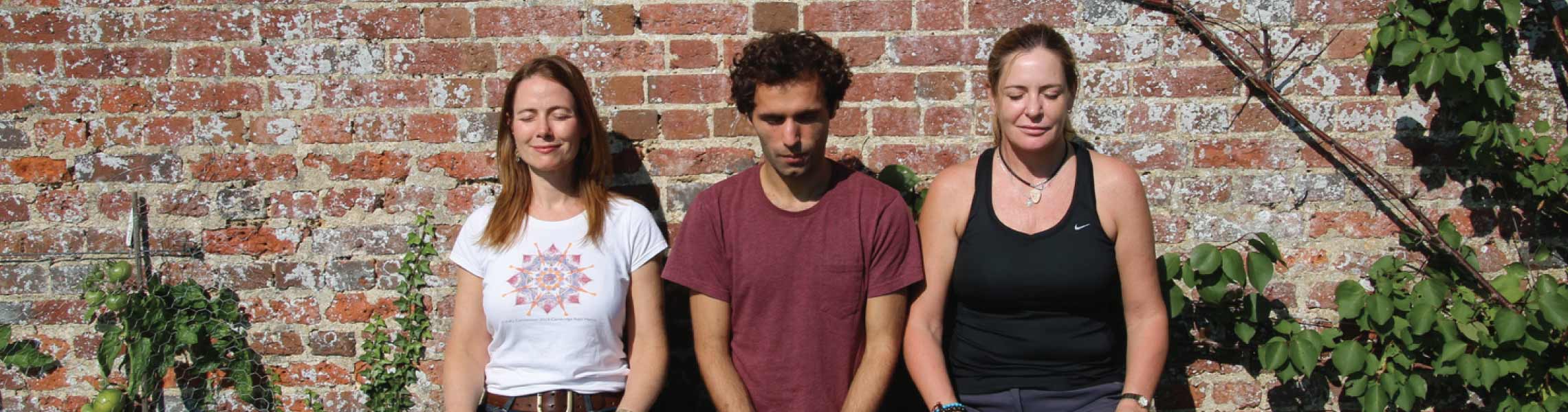 The Meditation Trust