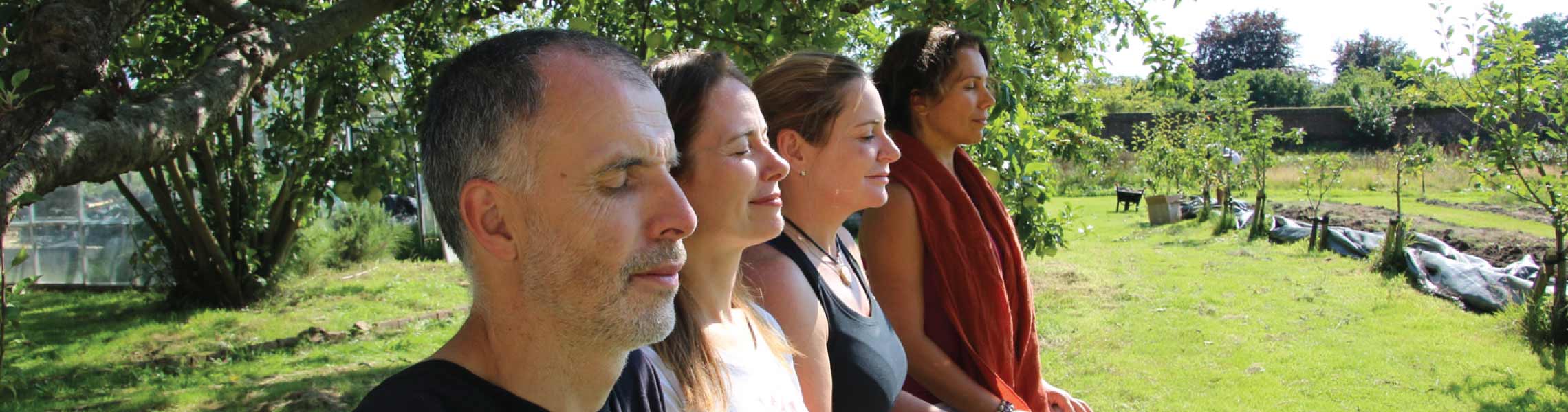 The Meditation Trust