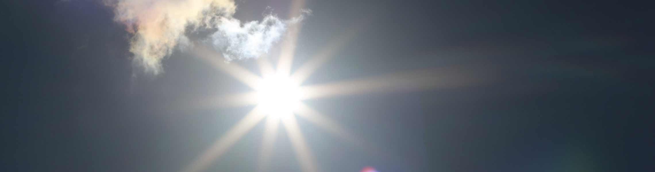 The Meditation Trust