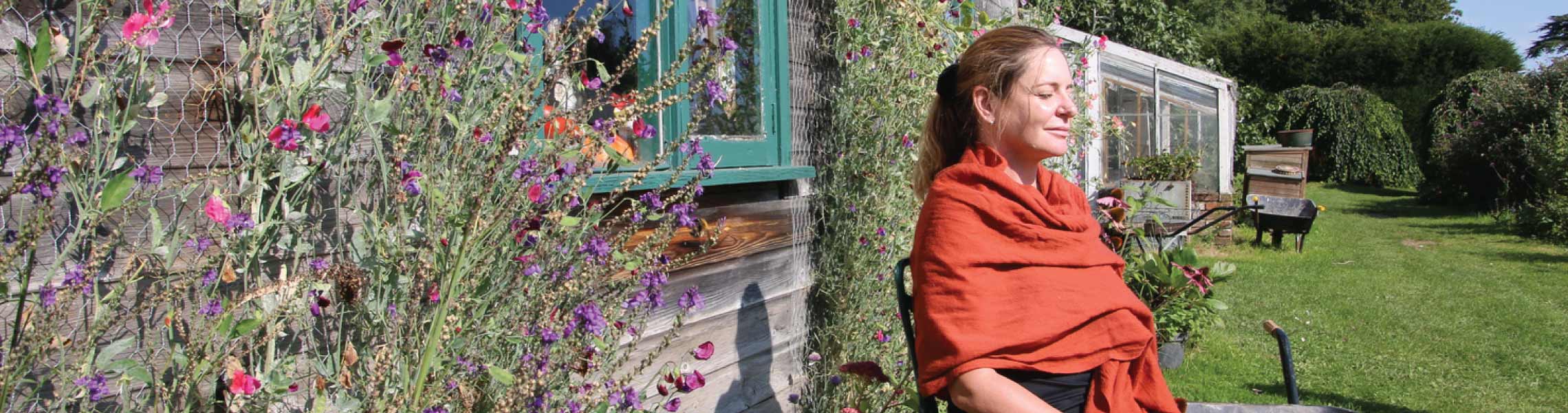 The Meditation Trust